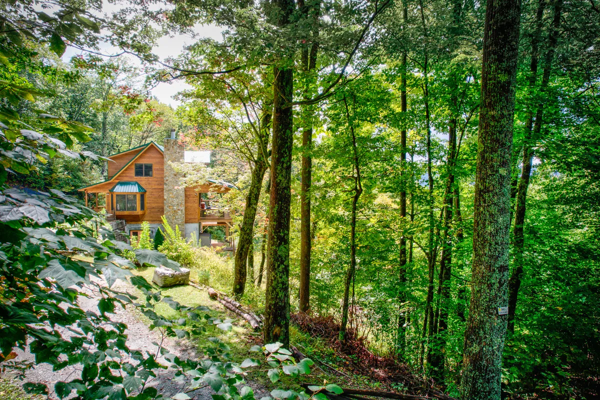 This exterior scene displays the wooden house surrounded by lush greenery, with a pathway leading to a deck area. The landscape is open and inviting, hinting at opportunities for outdoor activities and nature walks.