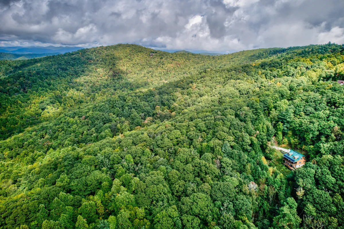 A wide view of a cabin surrounded by a lush green forest with a mountainous backdrop. The scene evokes tranquility and the possibility of gathering around a campfire in a secluded, natural setting—perfect for stargazing or nighttime stories.