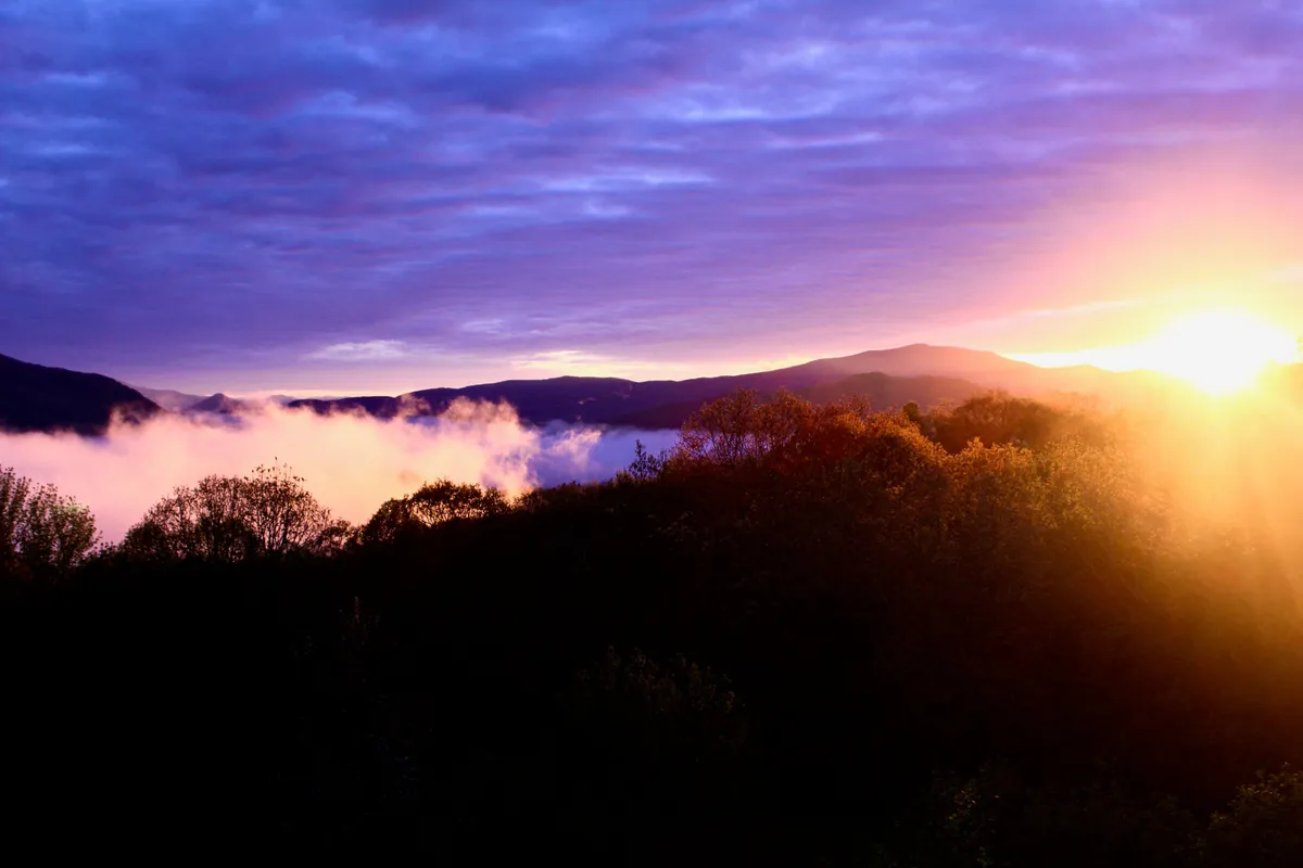 A breathtaking sunrise stretches across a vast mountain range, with soft clouds drifting above treetops. The tranquil scene invites outdoor enthusiasts to capture photographs or simply appreciate the beauty of the mountains—a perfect visual for year-round adventure just outside the door.